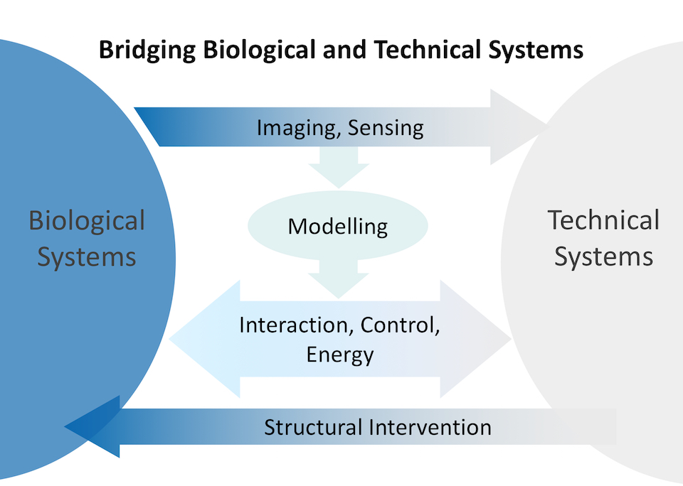 research topics in biomedical engineering eth